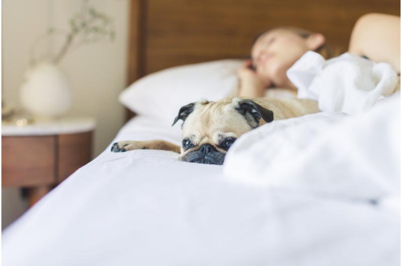 Kvalitu spánku ovlivňuje i umístění postele