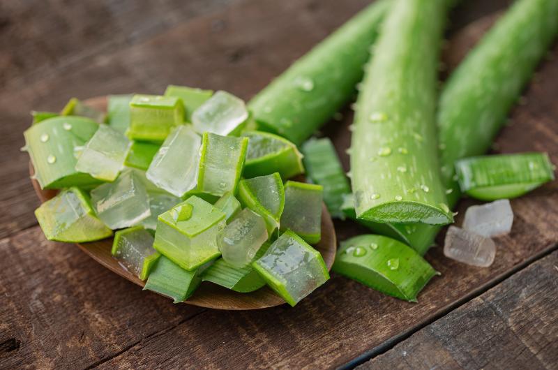 Aloe vera: Víc než jen pokojová rostlina. Objevte její úžasné vlastnosti