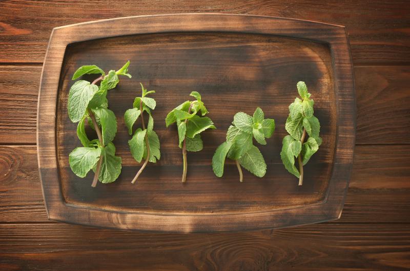 Mějte mátu a meduňku vždy po ruce: Zamrazte je a užijte si je kdykoli