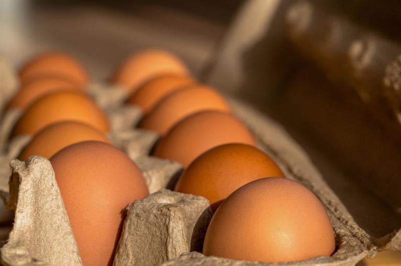Zdražování vajec: Jak nový chov slepic ovlivní ceny v obchodech