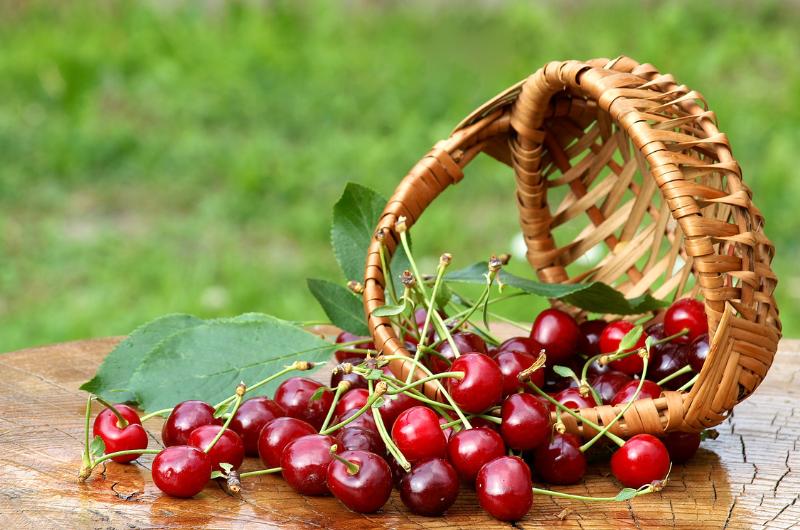 Višně jako superovoce: Pomohou vám s imunitou, spánkem i detoxikací