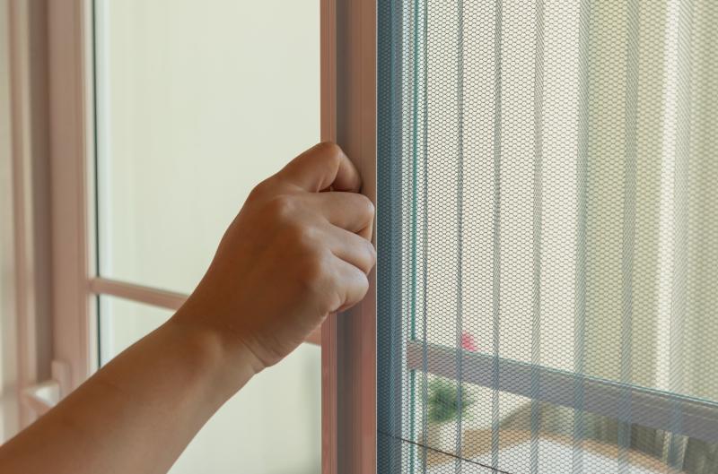 Jak snadno vyčistit síť proti hmyzu, aby zůstala jako nová. Stačí obyčejná věc z kuchyně