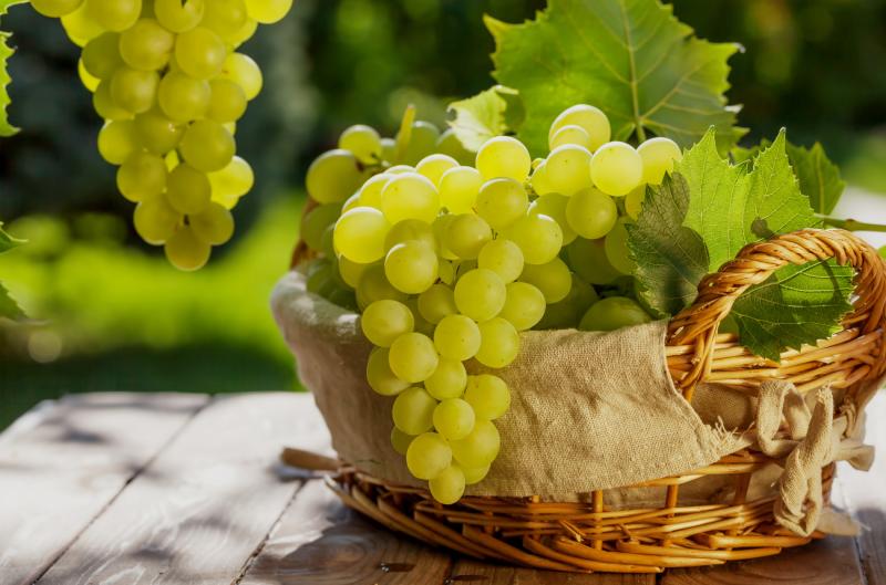 Jak vybrat opravdu sladké hrozny? Podle těchto 6 znaků je poznáte na první pohled