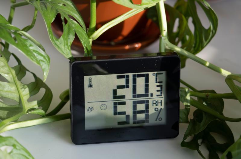 7 nenápadných signálů, že máte doma příliš vlhko. Poznáte je včas?