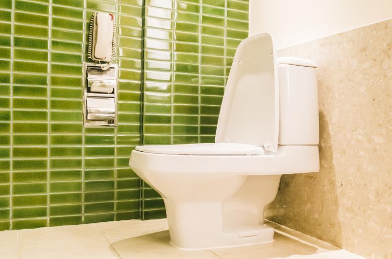 Proč Japonci sedí na toaletě obráceně? Nejde o náhodu ani bizarní zvyk