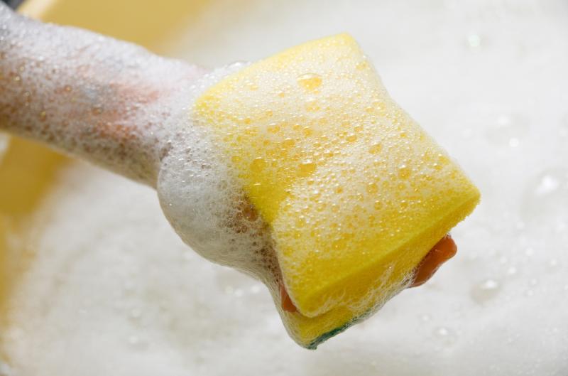 Houbička na nádobí v lednici není nesmysl. Má ale jeden důležitý háček
