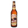 Březňák, světlé výčepní pivo 0,5l