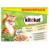 Kitekat v želé kompletní krmivo pro dospělé kočky 12 x 100g, vybrané druhy