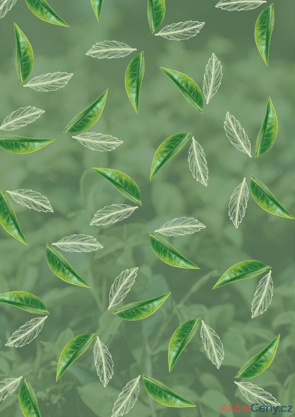 Leták Oxalis - čaj a káva
		  platný do 31.12.2025 - strana 2