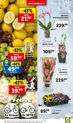 Lidl Čtvrtek od 27.2. do 2.3.2025