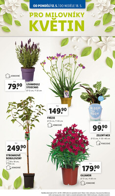 Lidl od 12.5. do 18.5.2025