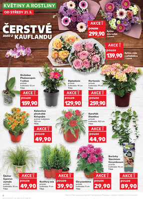 Kaufland 21.5. - 27.5. - Kaufland - Třeboň