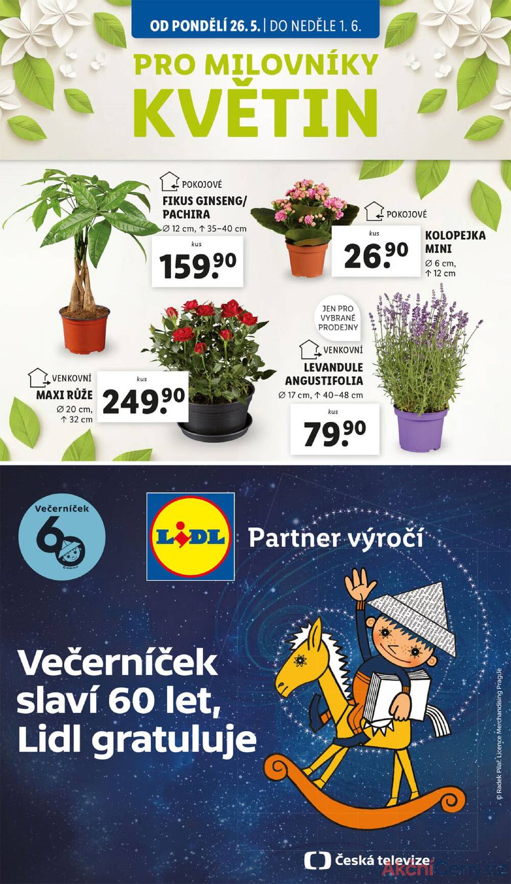 Leták Lidl - Lidl od 26.5. do 1.6.2025 - strana 35 Leták Lidl - Lidl od 26.5. do 1.6.2025 - strana 35