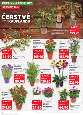 Kaufland 28.5. - 3.6. - Kaufland - Čáslav