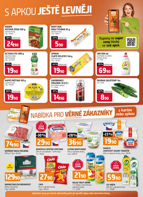 Terno České Budějovice, Třeboň, Trhové sviny, Bechyně, Týn nad Vltavou od 4.6. do 10.6.2025