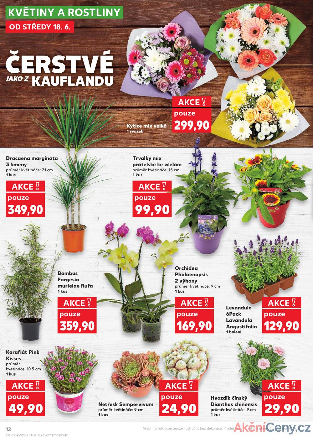 Leták Kaufland - Kaufland 18.6. - 24.6. - Kaufland - Česká Lípa - strana 12