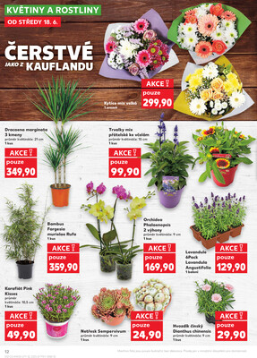 Kaufland 18.6. - 24.6. - Kaufland - Veselí nad Moravou