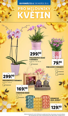Lidl od 23.6. do 29.6.2025