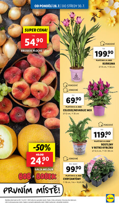 Lidl od 28.7. do 3.8.2025