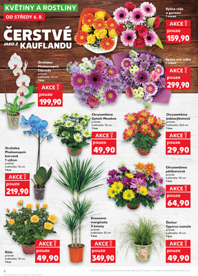 Kaufland 6.8. - 12.8. - Kaufland - Náchod