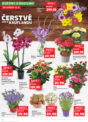 Kaufland 13.8. - 19.8. - Kaufland - Náchod