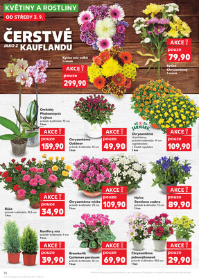Kaufland 3.9. - 9.9. - Kaufland Praha-Barrandov