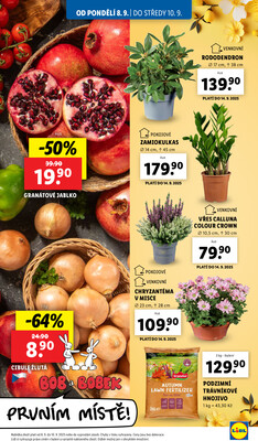 Lidl od 8.9. do 10.9.2025