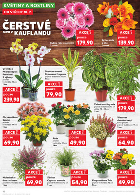 Kaufland 10.9. - 16.9. - Kaufland - Vrchlabí