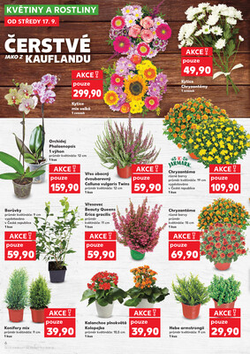 Kaufland 17.9. - 23.9. - Kaufland - Znojmo (Dukelských bojovníků)