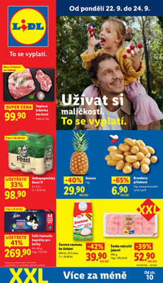 Leták Lidl
		  platný do 24.9.2025 - strana 5
