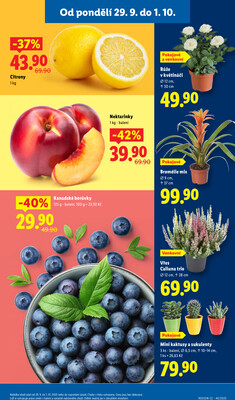 Lidl od 29.9. do 1.10.2025