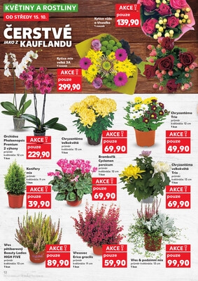 Kaufland 15.10. - 21.10. - Kaufland - Liberec (Dr. M. Horákové)