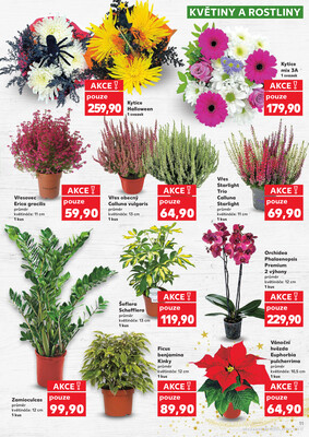 Kaufland 28.10. - 4.11. - Kaufland - Benešov