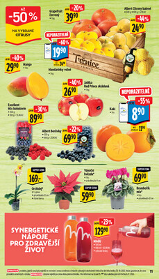 Albert Supermarket od 5.11. do 11.11.2025