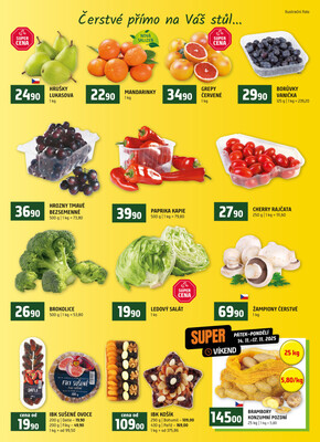 Terno České Budějovice, Třeboň, Trhové sviny, Bechyně, Týn nad Vltavou od 12.11. do 18.11.2025