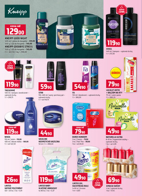 Terno České Budějovice, Třeboň, Trhové sviny, Bechyně, Týn nad Vltavou od 12.11. do 18.11.2025