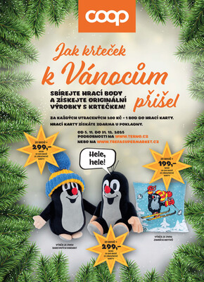 Terno České Budějovice, Hradec Králové, Olomouc, Třeboň, Trhové sviny, Bechyně, Týn nad Vltavou od 19.11. do 25.11.2025