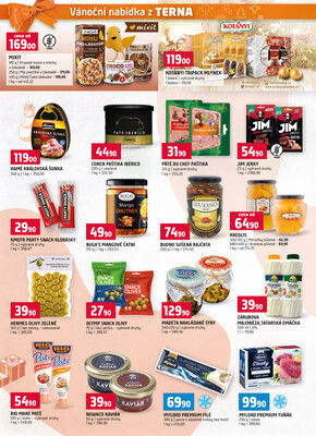 Terno České Budějovice, Olomouc, Hradec Králové, Třeboň, Trhové sviny, Bechyně, Týn nad Vltavou od 10.12. do 16.12.2025