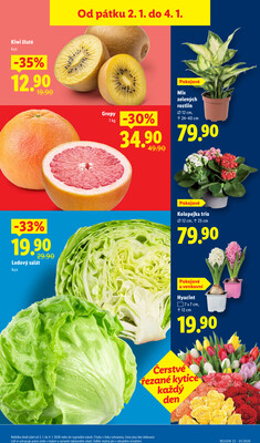 Lidl Pátek od 2.1. do 4.1.2026