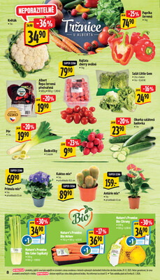 Albert Supermarket od 7.1. do 13.1.2026