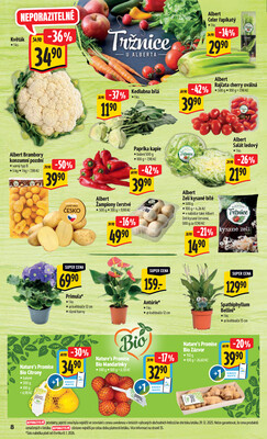 Albert  Hypermarket od 7.1. do 13.1.2026