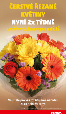 Penny Market od 8.1. do 14.1.2026