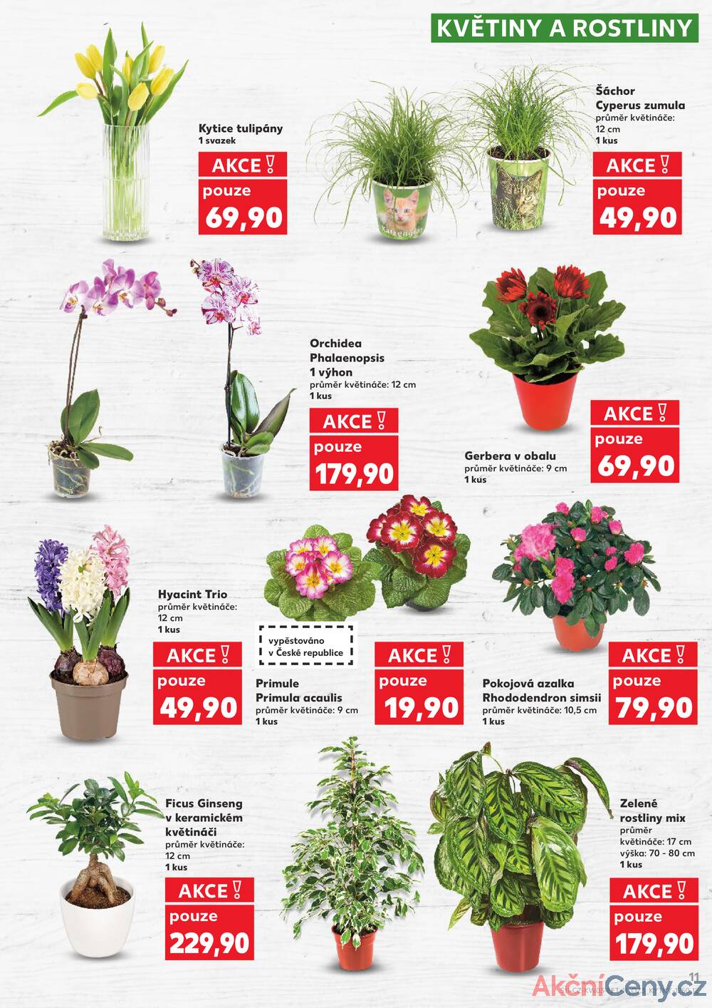 Kaufland 14.1. - 20.1. - Kaufland - Brno - Židenice