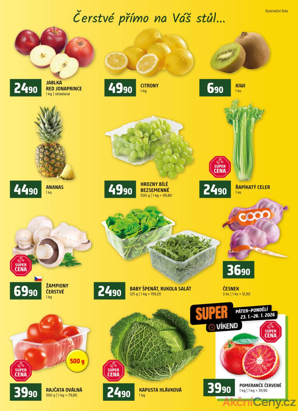 Terno České Budějovice, Třeboň, Trhové sviny, Bechyně, Týn nad Vltavou, Hradec Králové, Borovany, Olomouc od 21.1. do 27.1.2026