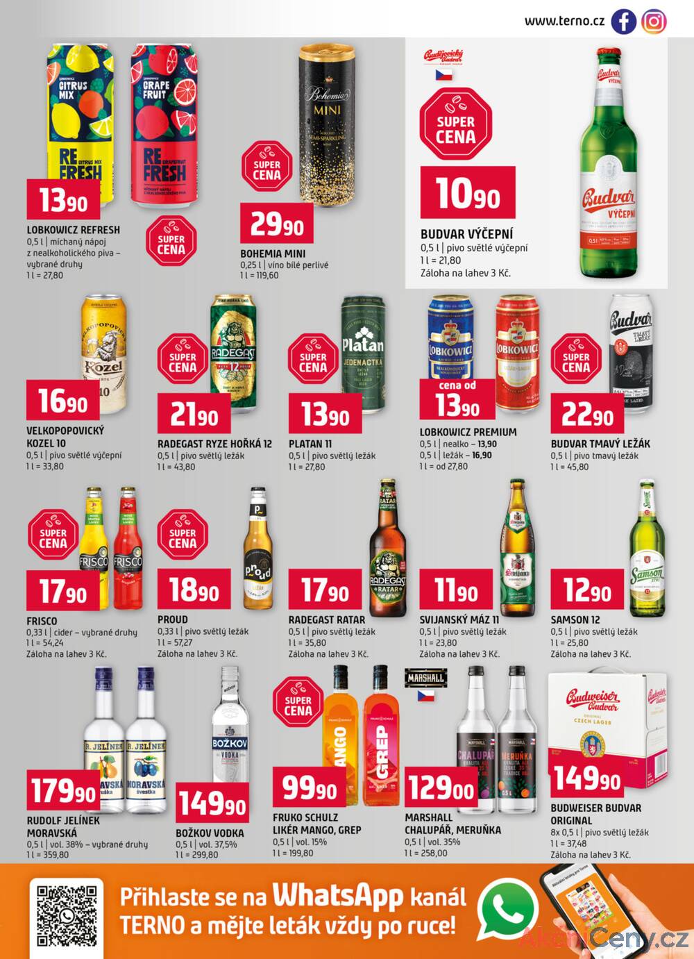 Terno Zlín, Prachatice, Český Krumlov, Tábor, Strakonice, Blatná 21.1. - 27.1.