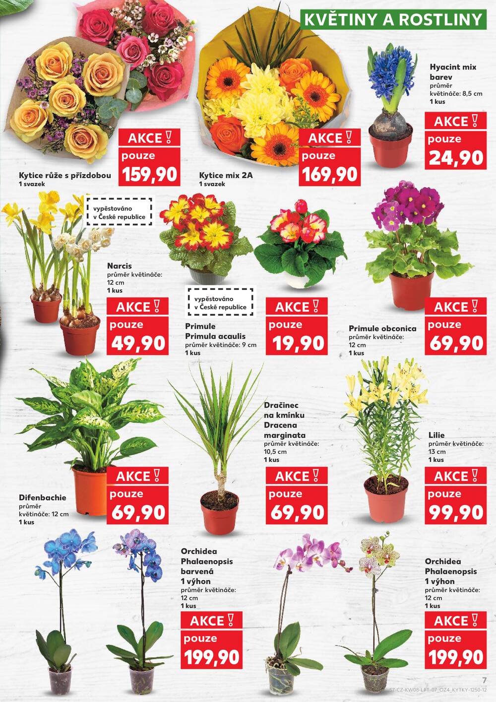 Kaufland 18.2. - 24.2. - Kaufland - Žatec