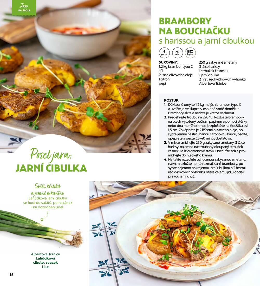 Albert Magazín do 7.4.