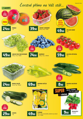 Terno České Budějovice, Třeboň, Trhové sviny, Bechyně, Týn nad Vltavou, Hradec Králové, Olomouc, Borovany, Zlín, Český Krumlov od 29.4. do 5.5.2026