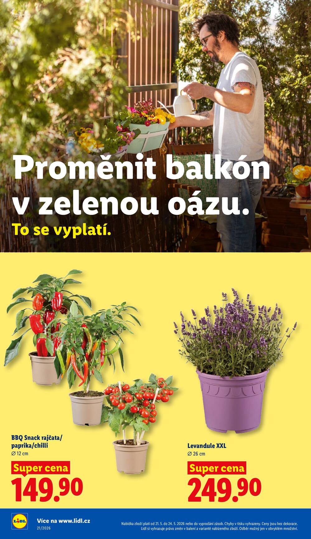 Leták Lidl - Lidl Čtvrtek od 21.5. do 24.5.2026 - strana 36
