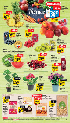 Albert Supermarket od 1.7. do 7.7.2026
